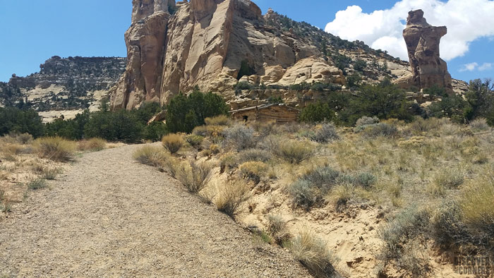 A gravel path leading to the cabin, with desert shrubs on both sides.