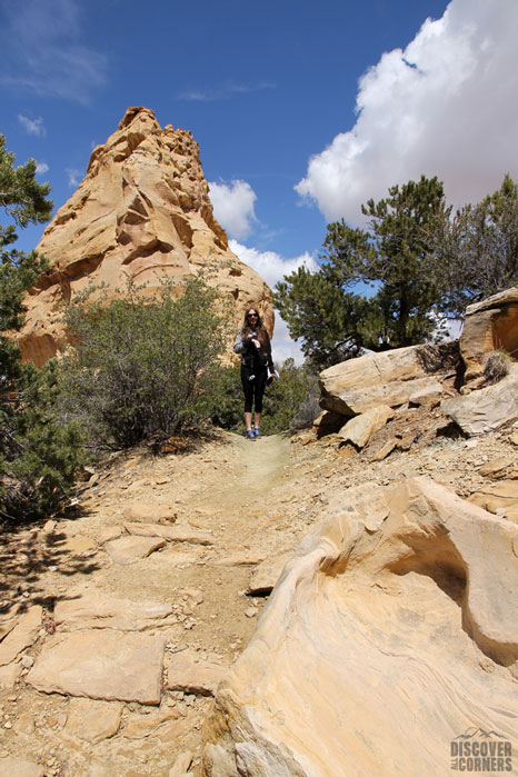 Primitive path to the Icebox in the San Rafael Swell.
