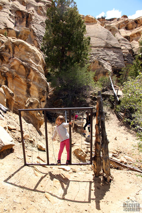 A rusted metal gate along the Icebox Foot Trail.