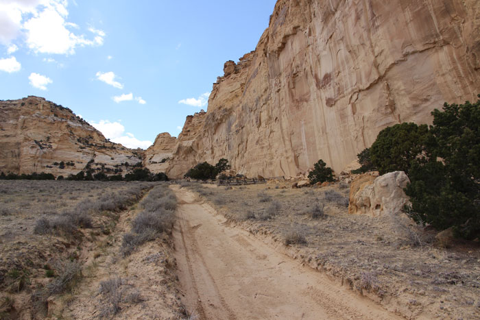 A narrow eroded sandy road in the desert with some vegetation, bordered by tall cliffs on the right and ahead.
