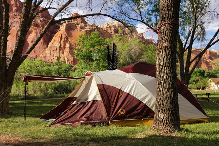 A lush open-space campsite with views of red rock cliffs.