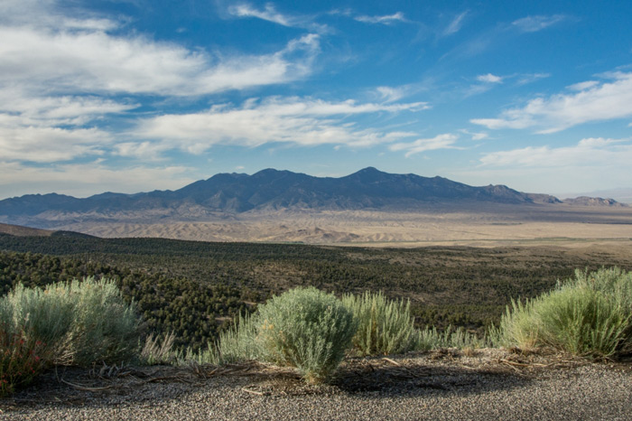 A desert landscape with a strip of towering mountains in the background, as seen from the side of the road lined with desert plants.