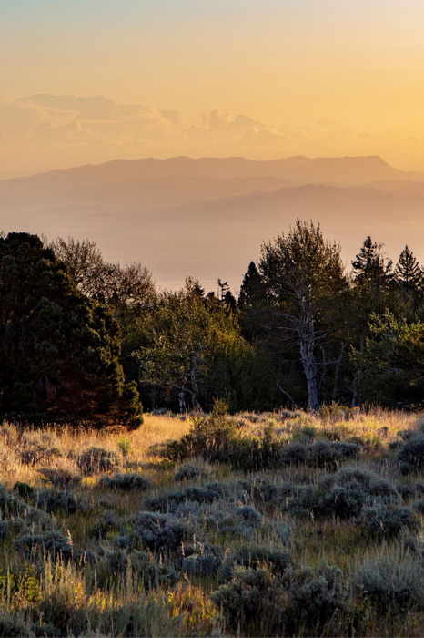 Sun rising at a Great Basin National Park campsite. The setting is a high desert with grasses, shrubs, and small trees around, and views of massive mountains in the background, surrounded by orange-colored morning haze from the sun.