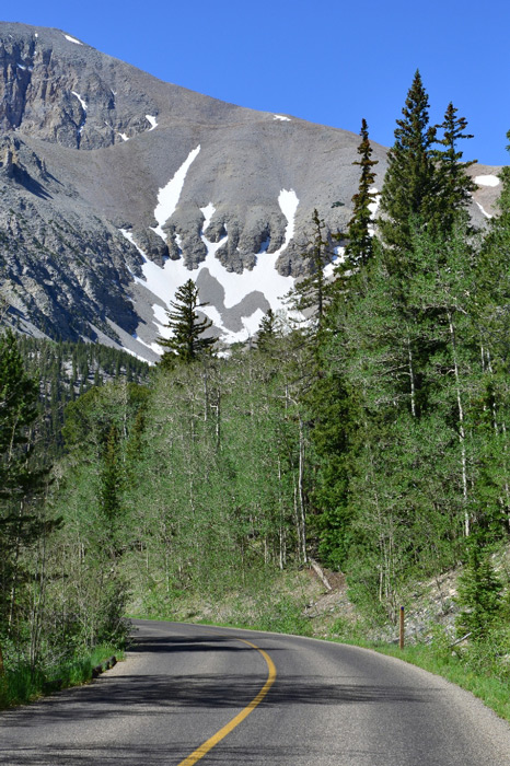 A narrow two-lane paved road with a mixed forest on both sides and views of snow-covered massive mountain rising just up ahead above the road.