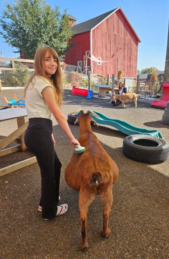 Picture of a Discover All Corners child 1 - young girl lovingly brushing a goat on a farm, with a wide smile on her face