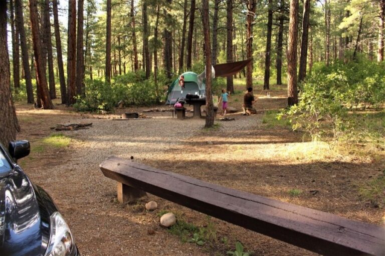 Campsite 06 at the Junction Creek Campground, Durango, Colorado.