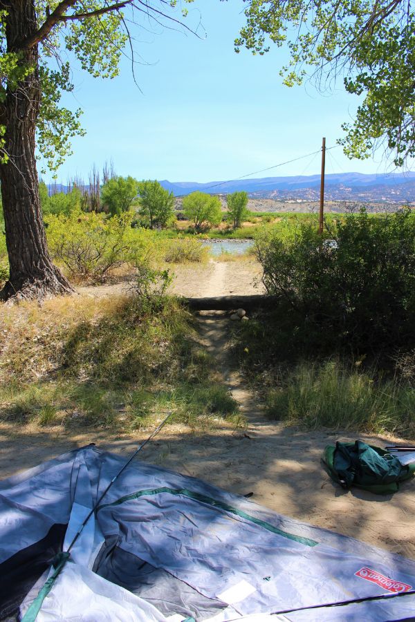 Tent site at Green River Campground in Dinosaur National Monument, Utah, with a path leading to the river and trees lining the riverbank.