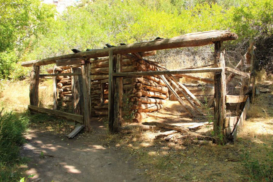 Crumbling log chicken coop with fencing at the Josie Morris Cabin site in Dinosaur National Monument, Utah.