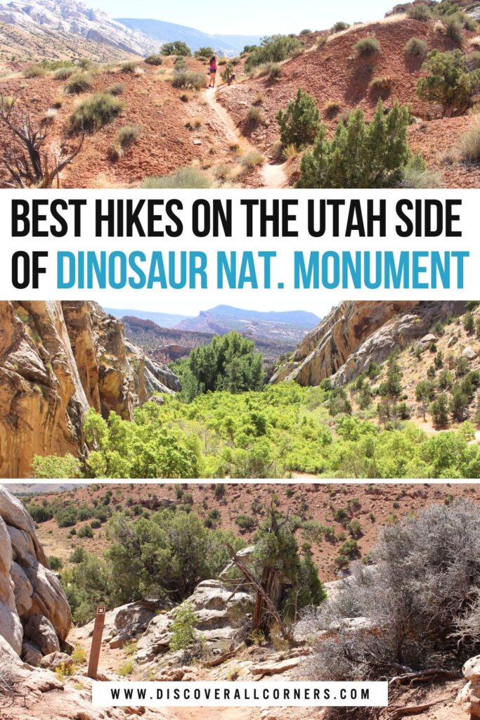 Exploring Dinosaur National Monument in Utah: family hiking through red rock desert scenery, a lush box canyon with towering cliffs, and enjoying a sandy trail with dramatic rock formations and valley views.