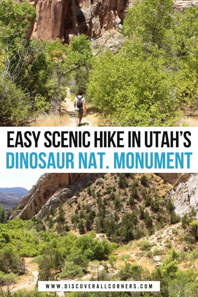 Scenic views along the Box Canyon Trail in Dinosaur National Monument, Utah — a hiker walking the lush, tree-lined path toward towering canyon cliffs, and the view from the canyon’s end with sheer rock walls, scattered greenery, and sandy terrain. Text overlay - Easy scenic hike in Utah's Dinosaur National Monument.