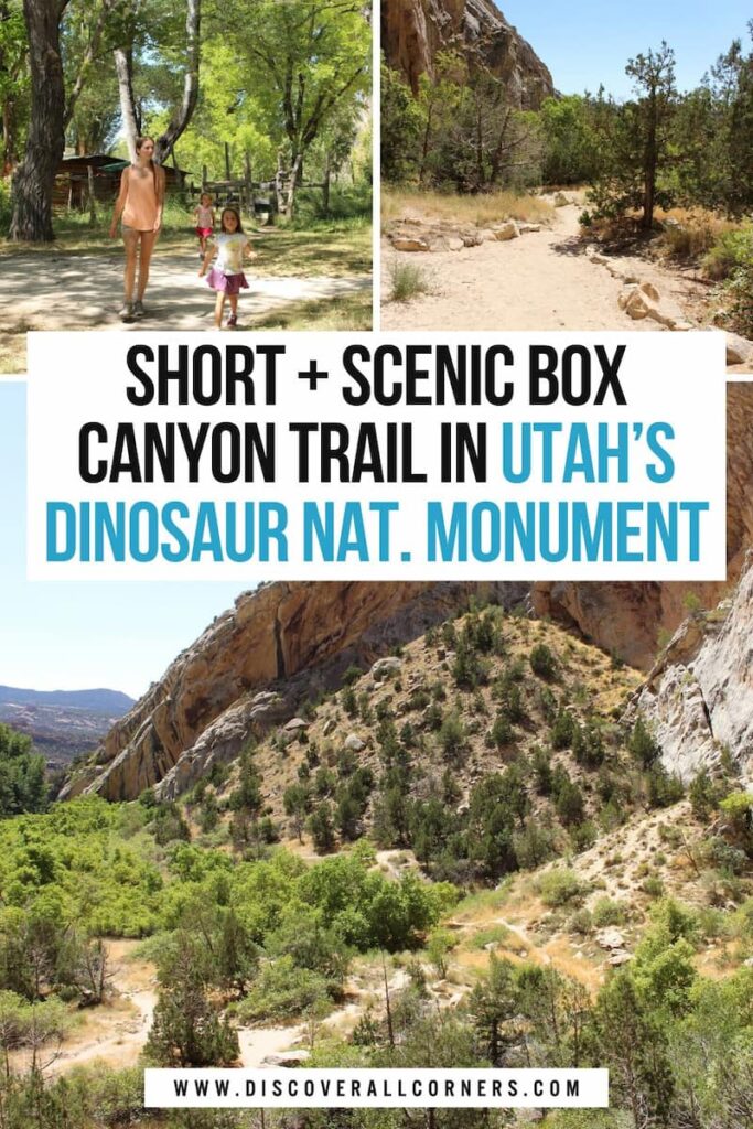 Scenes from the Box Canyon Trail in Dinosaur National Monument, Utah — a mom with two young kids walking from the lush grounds near the Josie Morris Cabin toward the trailhead, a sandy tree-lined path winding deeper into the canyon with cliffs rising ahead, and a view looking back toward the greener beginning of the canyon. Text overlay - Short + scenic Box Canyon Trail in Utah's Dinosaur National Monument.