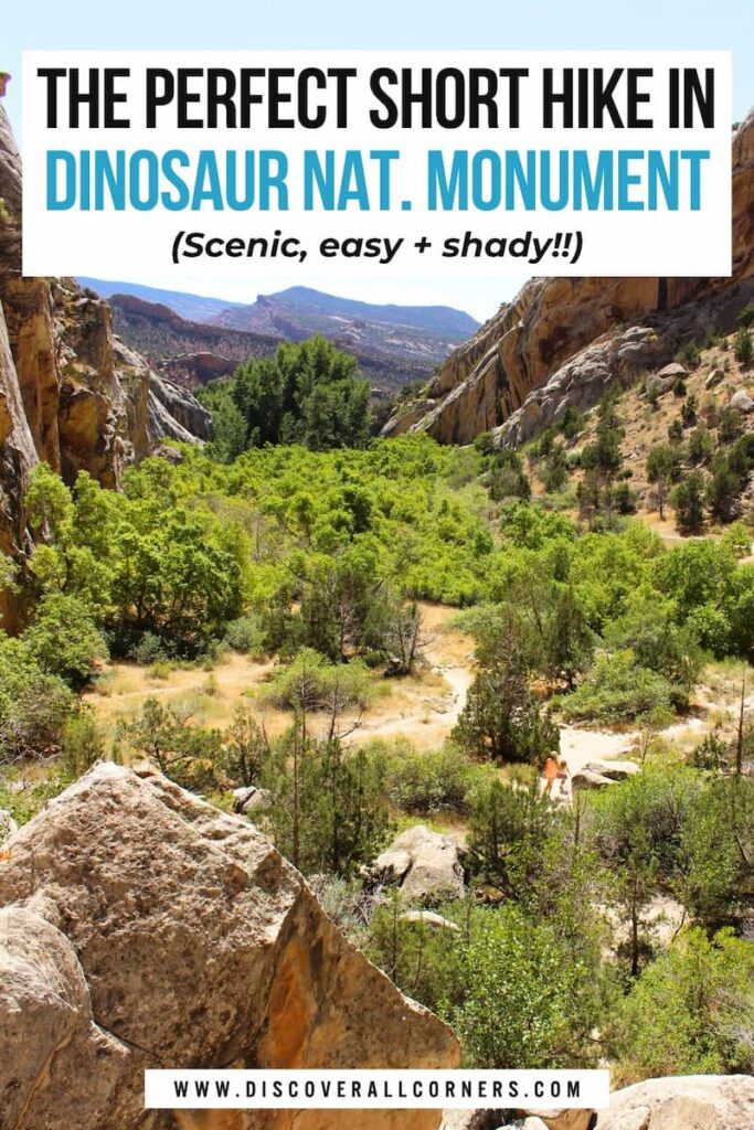 Colorful scenery at the lush beginning of the Box Canyon Trail in Dinosaur National Monument, Utah, with vibrant vegetation and rising canyon walls. Text overlay - The perfect short hike in Dinosaur National Monument (scenic, easy + shady!).