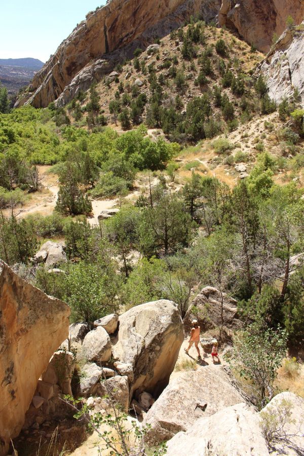 Overhead view from the end of Box Canyon Trail in Dinosaur National Monument, looking back toward the trailhead along the sandy path, with canyon walls and green vegetation lining the way.