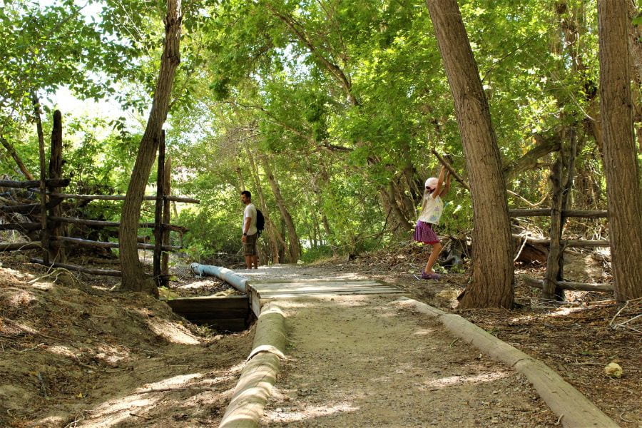 Father and daughter on the Box Canyon Trail in Dinosaur National Monument, passing Josie Morris’s historic wooden fence with trees lining both sides of the shaded path.