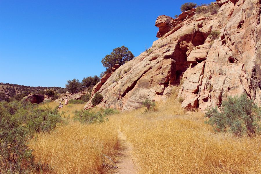 A narrow path through a grassy area along the sandstone cliff at Cub Creek Petroglyphs where visitors can scan the rock face for more rock art.