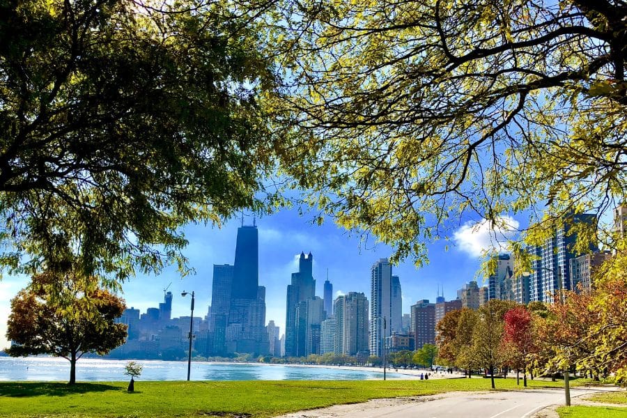 Chicago Lakefront Trail with trees, green grass, lake view, and the city skyline in the background.