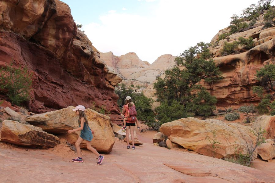 A mother hiking through a colorful canyon along the Cohab Canyon Trail in Capitol Reef National Park with her two young daughters—one walking behind her, the other riding in a carrier.