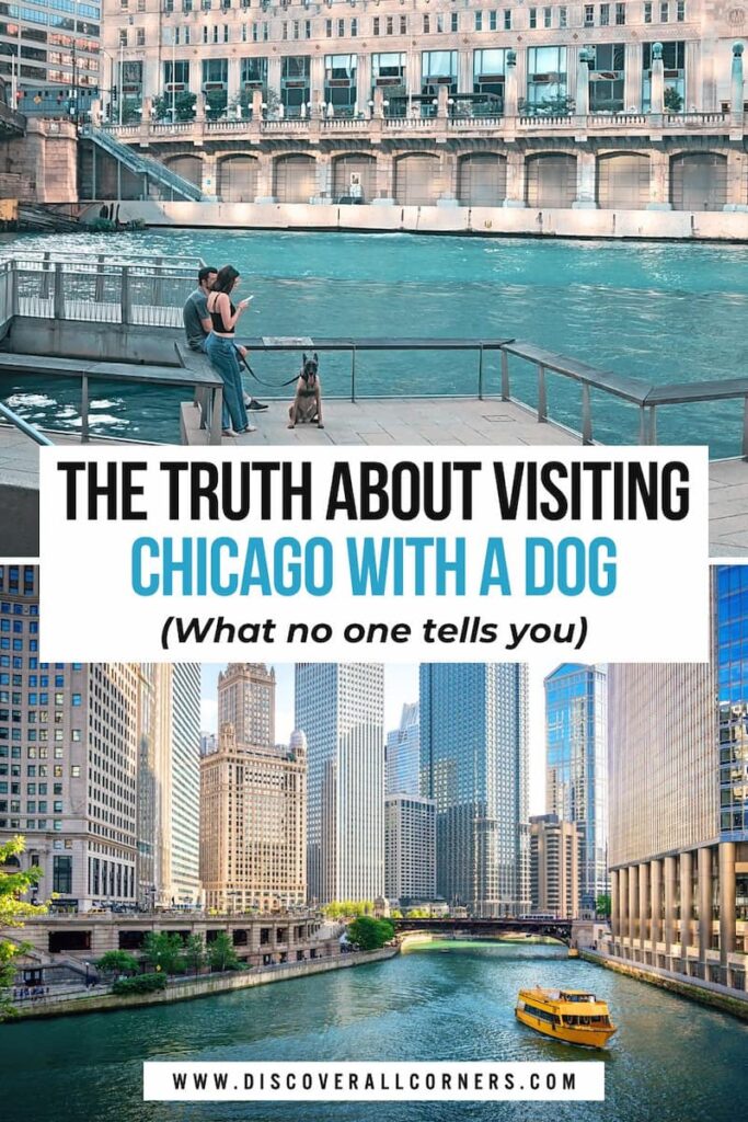 Family and dog on Chicago’s Riverwalk overlooking the river, paired with a sunset view of the river, skyscrapers on both sides, and a yellow tour boat. Text overlay - The truth about visiting Chicago with a dog (what no one tells you).