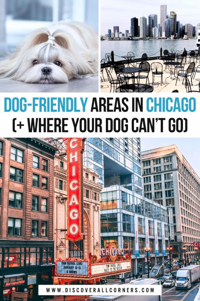 Small white dog, Chicago lakefront patio with skyline views, and downtown street scene featuring the iconic red Chicago Theatre sign. Text overlay - Dog-friendly areas in Chicago (+Where your dog can't go).