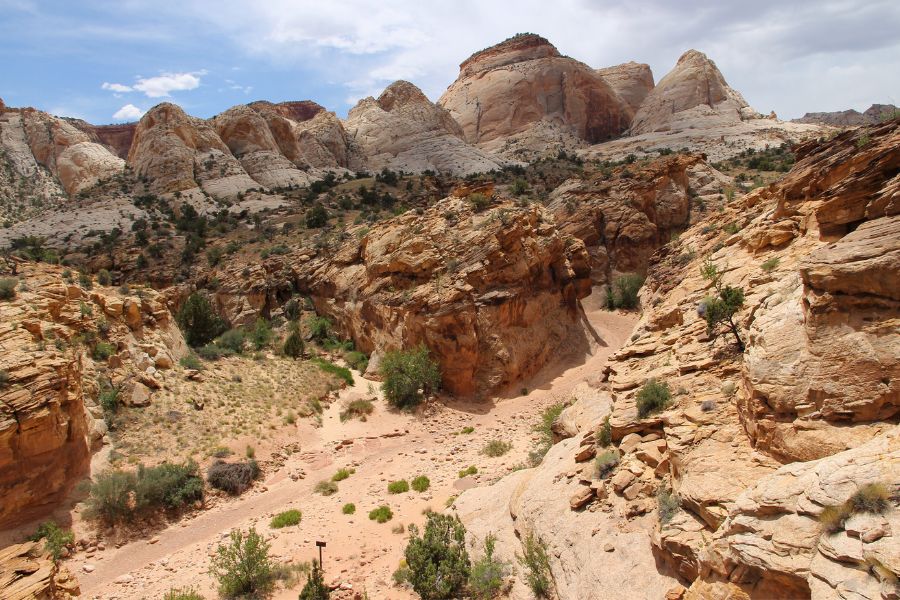 View from the spur trail to the Tanks showing the Capitol Gorge Trail below, with colorful rock formations and sculpted canyon walls stretching into the distance.