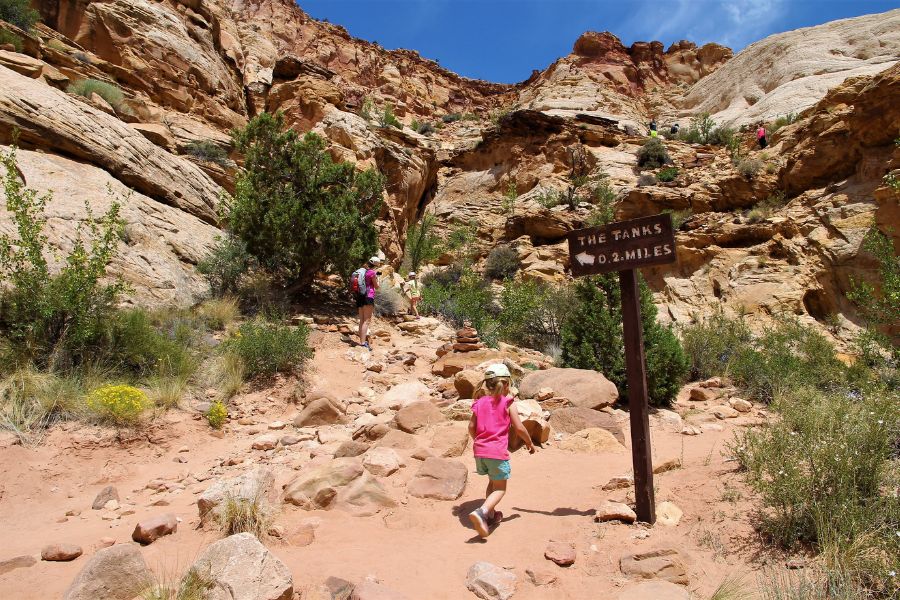Young girl walking toward the trailhead for the Tanks spur in Capitol Gorge, with her mom and older sister already on the path ahead, surrounded by desert vegetation and canyon walls.