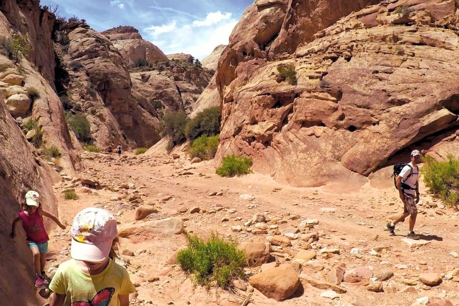 A family walking along the mid-section of the Capitol Gorge Trail, with colorful sculpted canyon walls, desert vegetation, and rocks scattered across the sandy wash.