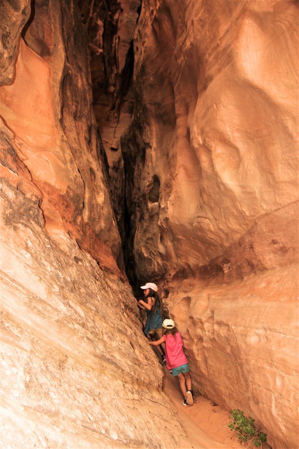 Kids exploring a narrow slot canyon along the Cohab Canyon Trail in Capitol Reef National Park, surrounded by smooth, colorful rock walls.