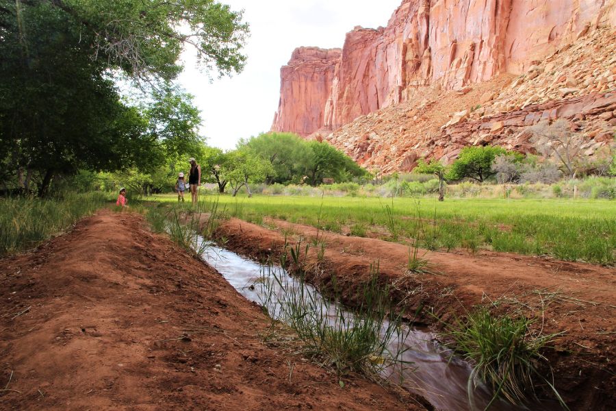Mom and kids exploring the historic Fruita Orchards, walking near irrigation ditches with a massive Capitol Reef cliff rising in the background.