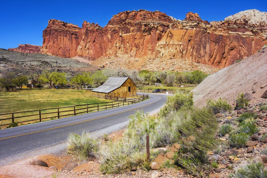 Historic Fruita Barn surrounded by lush greenery with towering red rock cliffs in the background near Capitol Reef National Park.