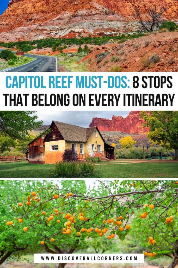 Three-photo collage from Capitol Reef National Park. First image shows a scenic park road winding between colorful layered rock formations. Second image features the historic Gifford House set against towering red rock cliffs. Third image shows a peach tree in the Fruita Orchard with ripe peaches hanging from the branches. Text overlay - Capitol Reef Must-Dos: 8 Stops that belong on every itinerary.
