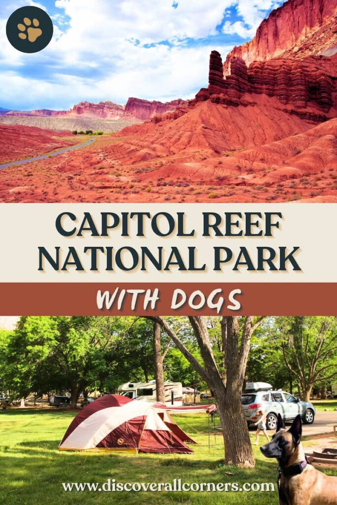 Massive sculpted rock formations known as the Waterpocket Fold along a paved road in Capitol Reef National Park, and an image from the park's campground showing a neutral-colored tent on grass with trees around and a Belgian Malinois dog sitting in front of the tent. Text overlay - Capitol Reef National Park with dogs.