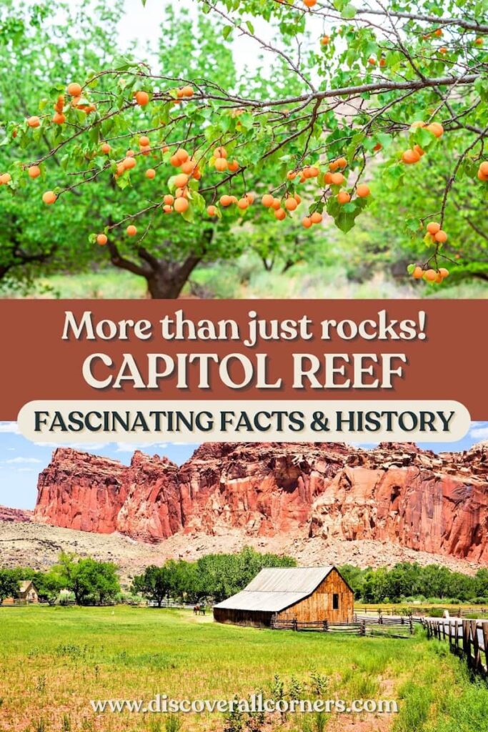 Scenic views of Capitol Reef National Park including the fruiting historic orchards and historic Fruita Barn in the Fruita section. Text overlay - More than just rocks! Capitol Reef - Fascinating facts & history.