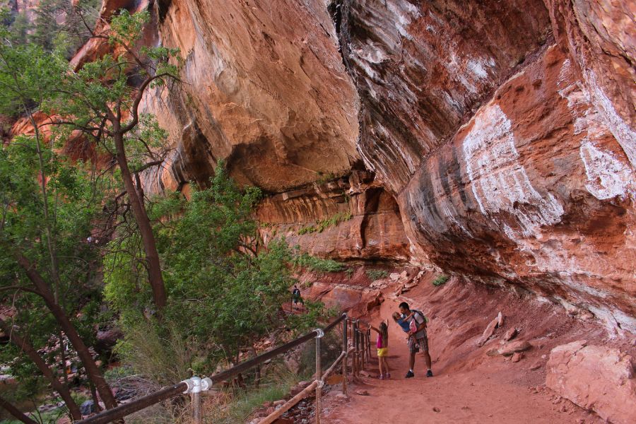 A family standing beneath a massive red rock alcove on the Lower Emerald Pools Trail, with water dripping from above and lush greenery surrounding the trail.