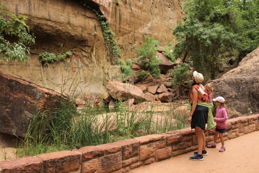 Mother and daughters pausing along the paved trail to view hanging gardens on a cliff face with lush plants and a small pool formed by dripping water.
