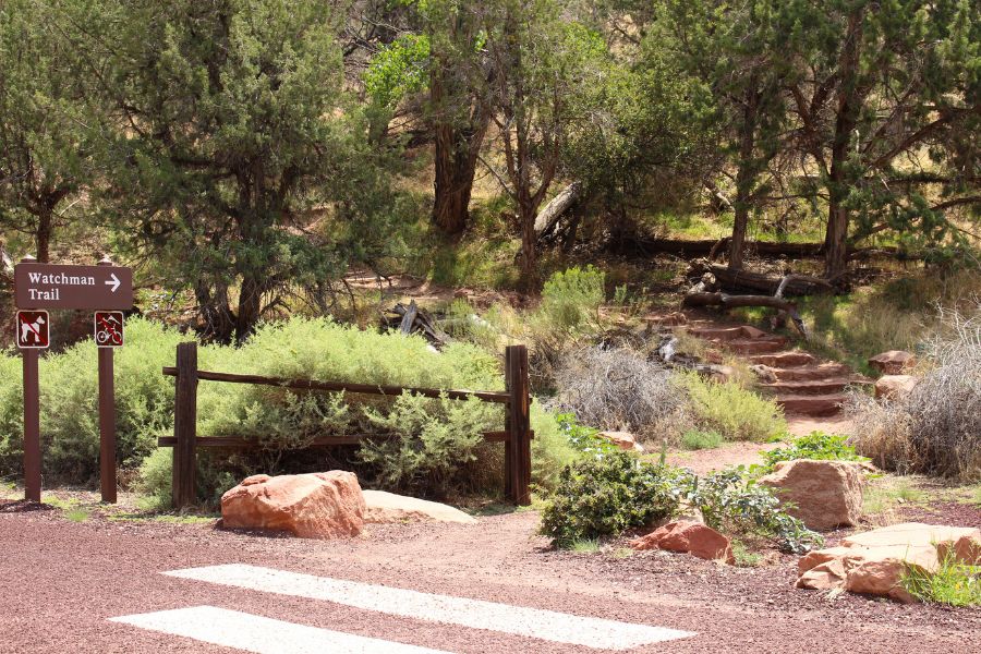 The Watchman Trail continuing past the road with shallow stone steps, desert plants, trees, and park signage visible.
