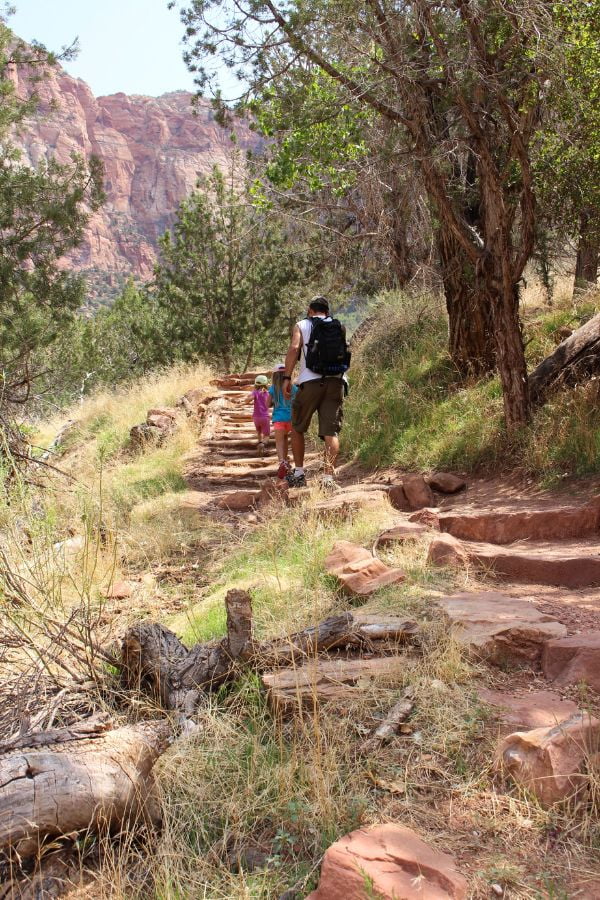 Dad and kids climbing a long stretch of stone steps on the Watchman Trail surrounded by desert vegetation and canyon scenery.