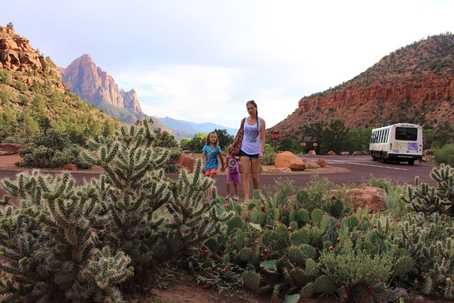 Family walking near Zion Canyon Shuttle Stop 3 at Canyon Junction, with red rock cliffs in the background, desert cacti in the foreground, and a Zion shuttle bus heading toward the Visitor Center.