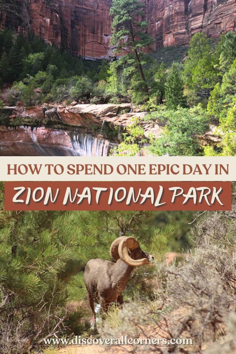 The lush alcove above the Lower Emerald Pool in Zion National Park, with greenery spilling over red rock cliffs, paired with a close-up of a desert bighorn sheep grazing among desert trees near the east entrance. Text overlay - How to spend one epic day in Zion National Park.