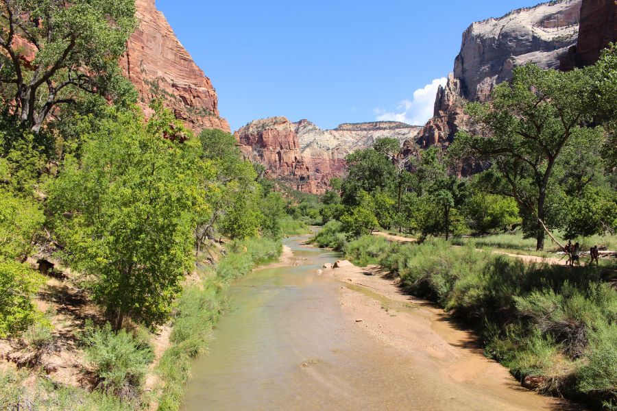 View from a bridge over the Virgin River in Zion National Park, with cottonwood trees lining the river and towering sandstone cliffs beyond.