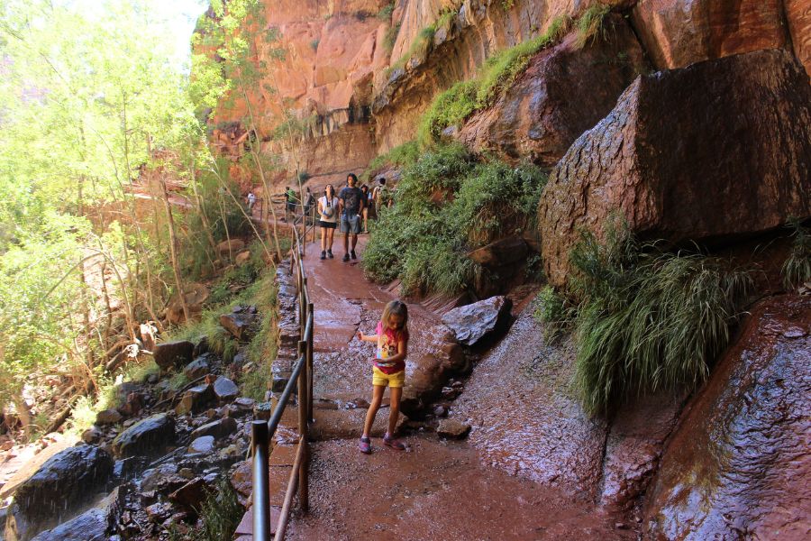 Wet section of the Lower Emerald Pool Trail beneath hanging gardens and moss-covered rock walls with hikers walking near a railing