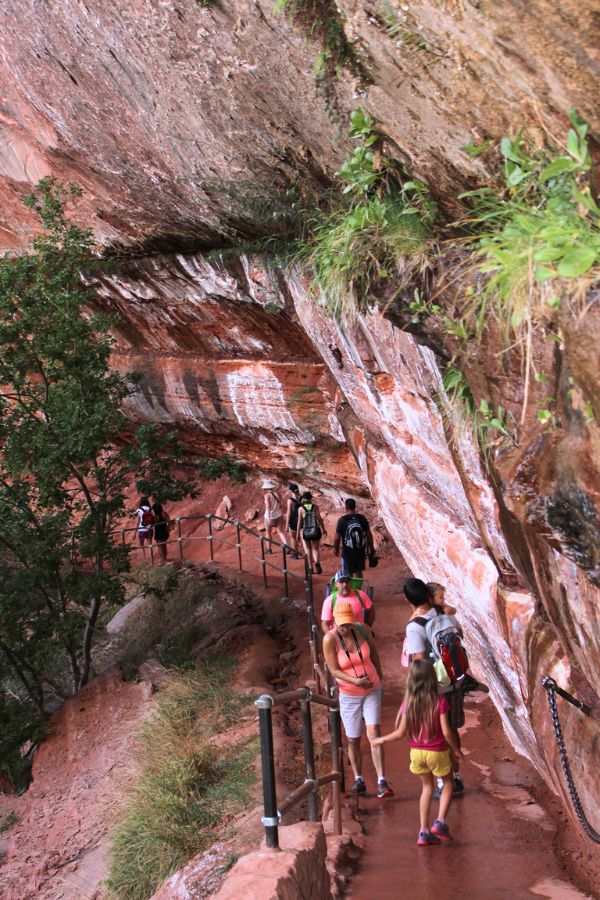 Hikers standing beneath the dripping sandstone alcove on the Lower Emerald Pool Trail with water falling over the path.