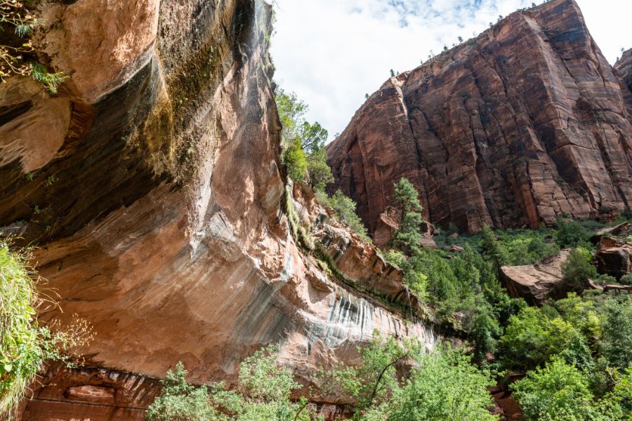 View looking up at the towering sandstone alcove above Lower Emerald Pool with hanging gardens and cliff walls rising high overhead.