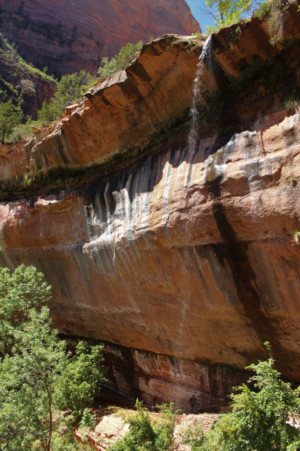 Vertical view of the massive sandstone alcove with a waterfall at Lower Emerald Pool, with the trail seen below and a hiker on it, who looks tiny compared to the tall alcove.