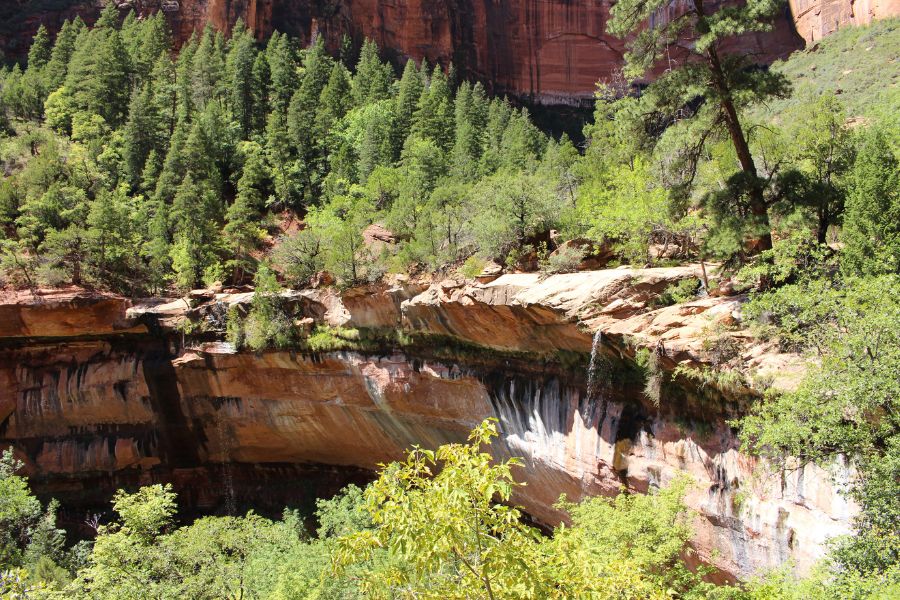 Wide view from an overlook above Lower Emerald Pool, showing the large sandstone alcove with waterfalls spilling over its edge, lush vegetation below and above, and towering canyon walls above in the background.