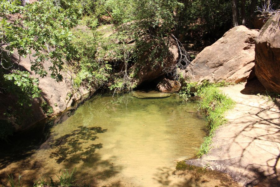 Shallow rock-bordered emerald-colored pool at Middle Emerald Pools surrounded by rock and vegetation.