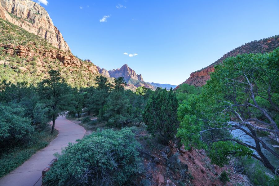 Paved Pa’rus Trail following the Virgin River near Canyon Junction in Zion National Park, with open canyon views and cliffs rising above the valley.