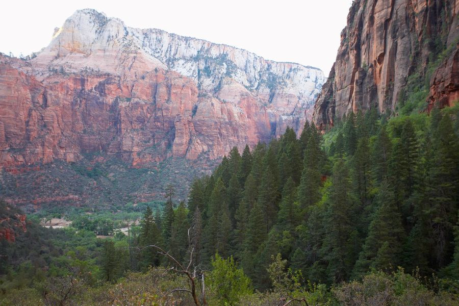 Colorful canyon cliffs and trees viewed from the Upper Emerald Pool Trail in Zion National Park.