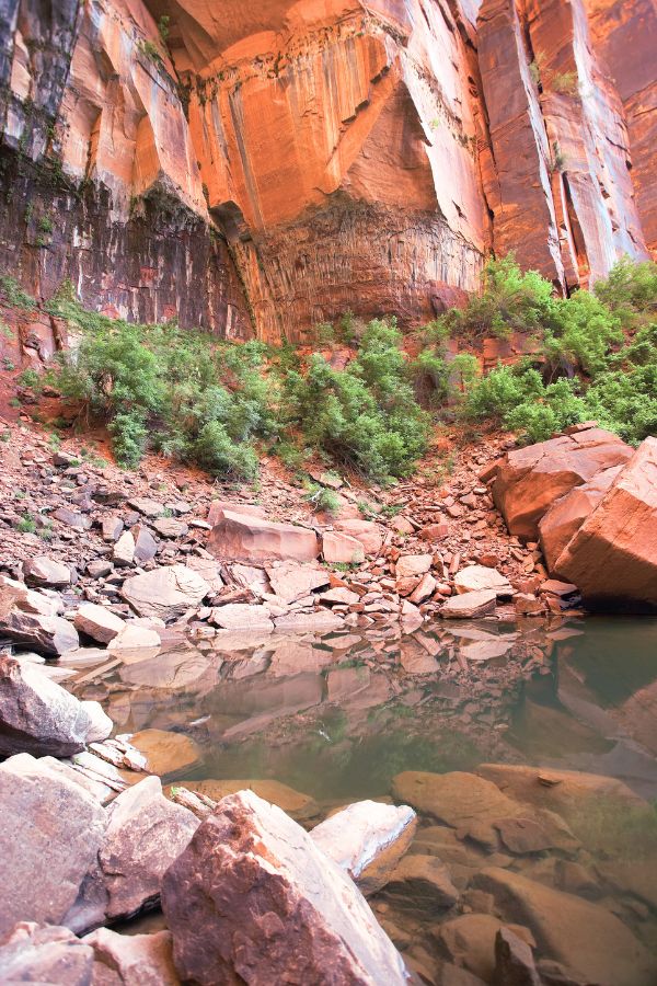 Upper Emerald Pool in Zion National Park showing rocky shoreline and rising cliffs just along its back end together with some vegetation growing along the cliff base.