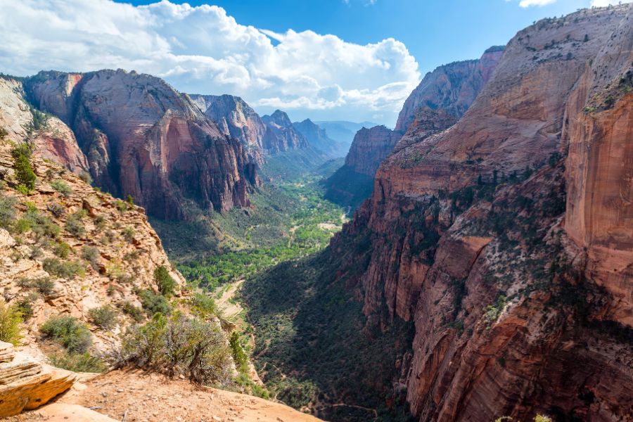 Panoramic view of Zion Canyon with massive sandstone cliffs rising on both sides and a lush green valley stretching below.