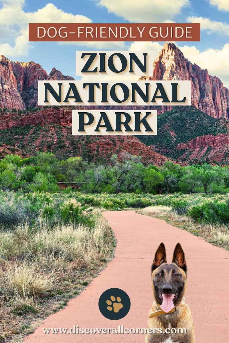 Paved Pa’rus Trail in Zion National Park with desert grasses, trees, red rock cliffs, and a dog sitting on the path. Text overlay - Dog-friendly guide - Zion National Park.